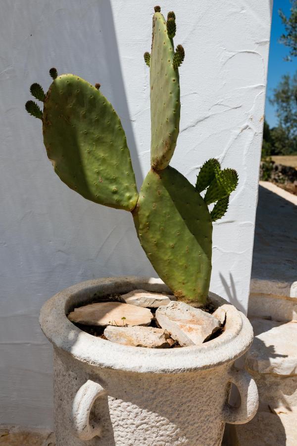 アルベロベッロ Il Trullo Della Rondininaヴィラ エクステリア 写真