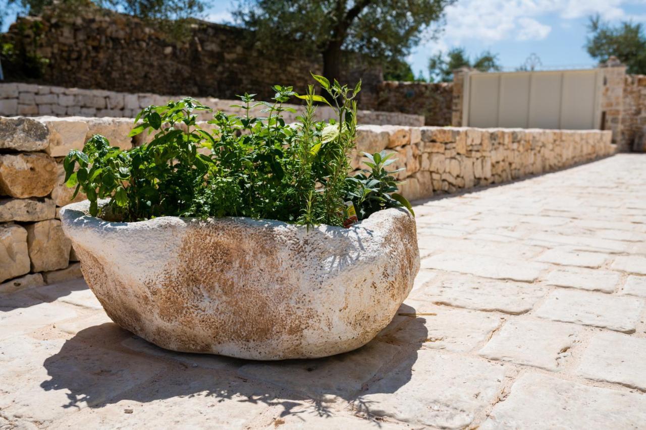アルベロベッロ Il Trullo Della Rondininaヴィラ エクステリア 写真