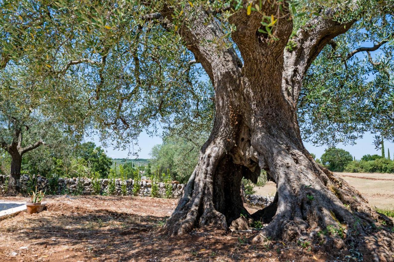 アルベロベッロ Il Trullo Della Rondininaヴィラ エクステリア 写真
