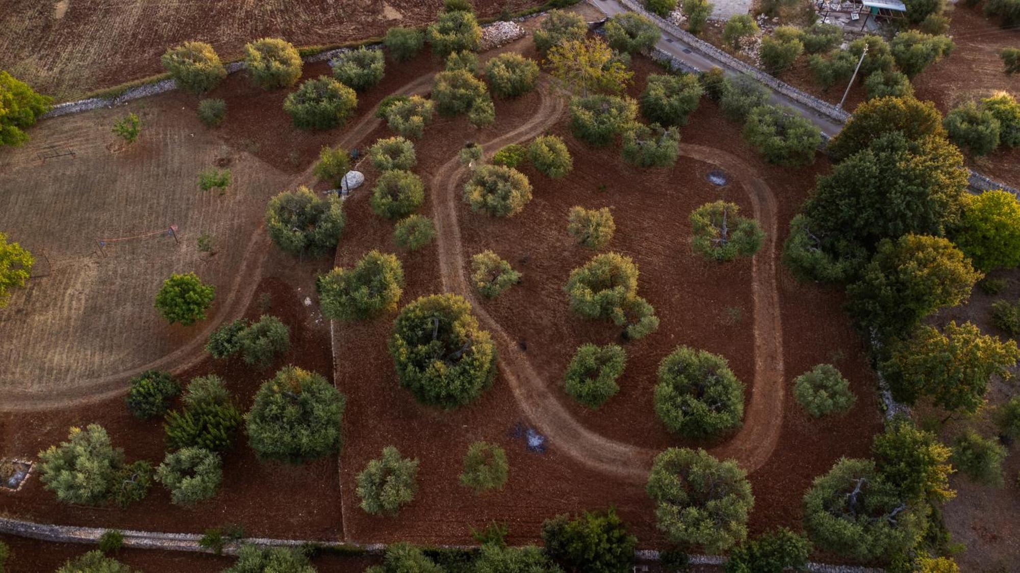 アルベロベッロ Il Trullo Della Rondininaヴィラ エクステリア 写真