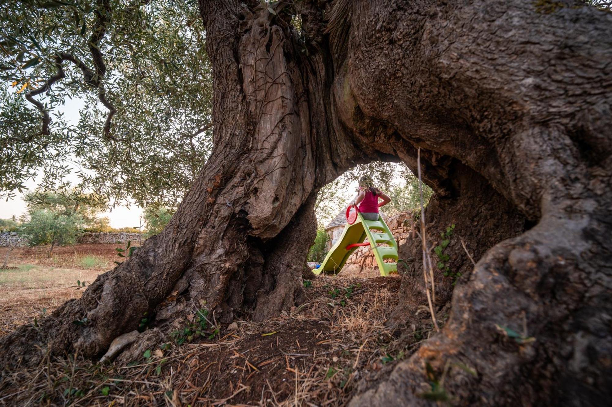 アルベロベッロ Il Trullo Della Rondininaヴィラ エクステリア 写真